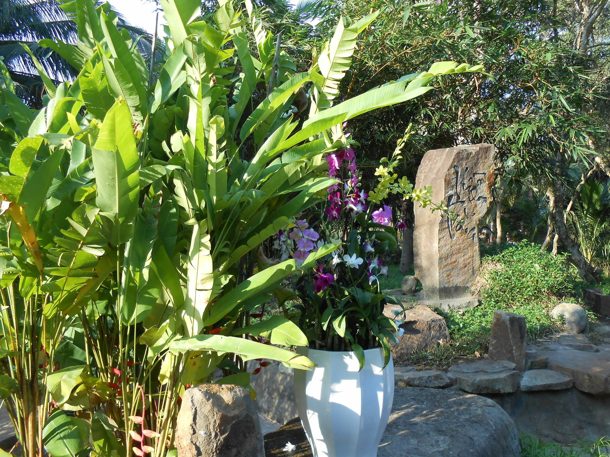Minera Hot Springs Binh Chau Hotell Eksteriør bilde
